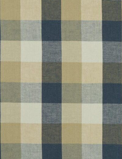 Austin Check Midnight Fabric