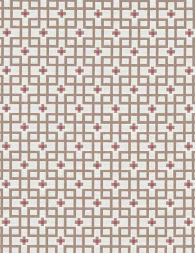Axis Raspberry Fabric
