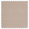 Swatch of Arezzo Shell by Ashley Wilde
