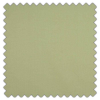 Swatch of Cole Pistachio by Ashley Wilde