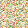 Golden Parrot Ivory Fabric by Clarke And Clarke