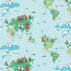 World Map Multi Fabric Flat Image