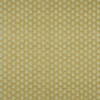 Indo Pistachio Fabric by iLiv