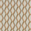 Paragon Mandarin Fabric by iLiv