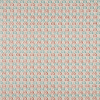 Pushkar Pimento Fabric by iLiv