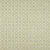 Pushkar Pistachio Fabric by iLiv