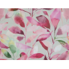 Image of brympton raspberry by Voyage