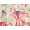 Image of conifer red nut by Voyage