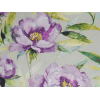 Image of earnley orchid by Voyage