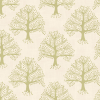 Image of Great Oak pear by Voyage