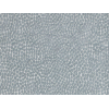 Image of pebble shark by Voyage