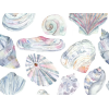 Image of Rock Pool abalone by Voyage