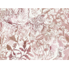 Image of rothesay coral by Voyage