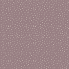 Image of spotty acanthus by Voyage