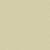 Image of spotty willow by Voyage