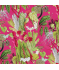 Tasmania Cerise Fabric by Chatham Glyn