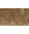 Image of lynx gold by Kai