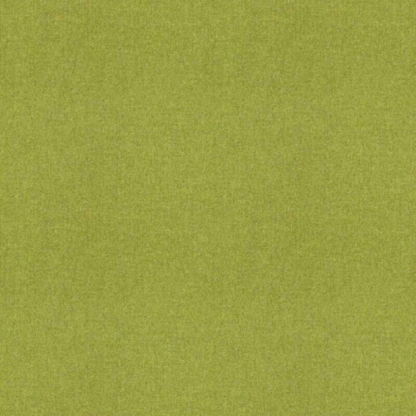 Earth Lime Fabric Flat Image