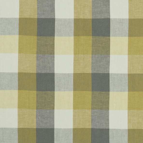 Austin Check Citron/Natural Fabric