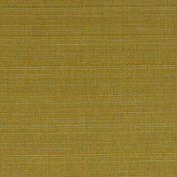 Raffia Gold Fabric Flat Image