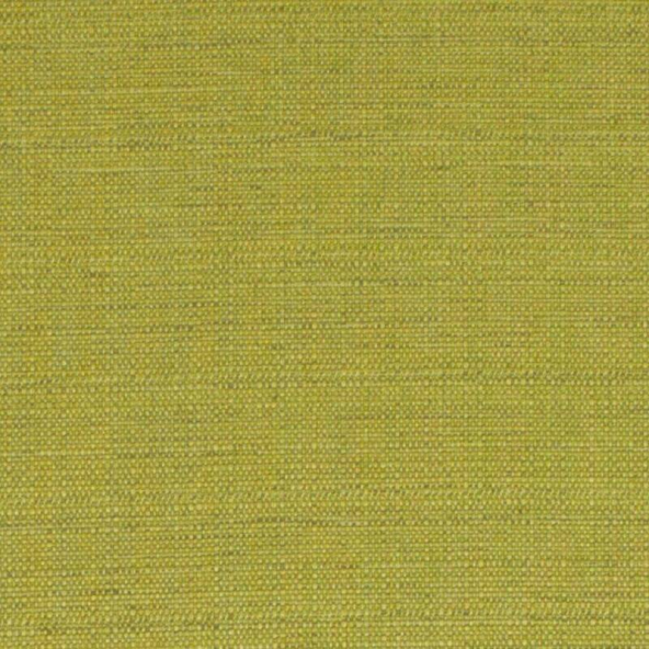 Raffia Lime Fabric Flat Image