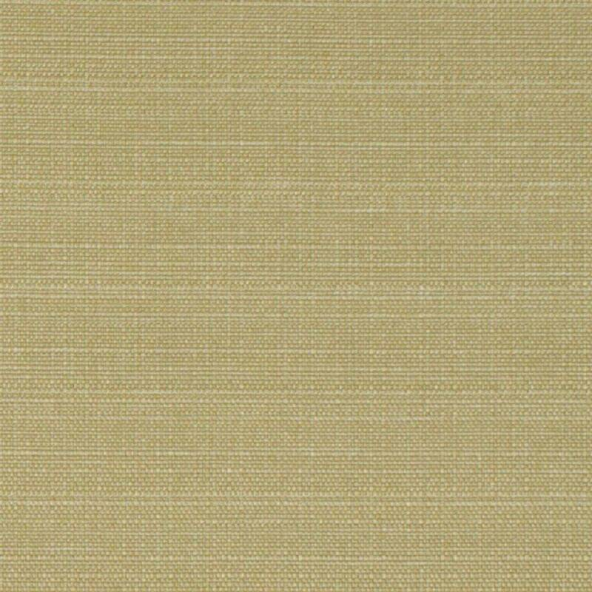 Raffia Sand Fabric Flat Image