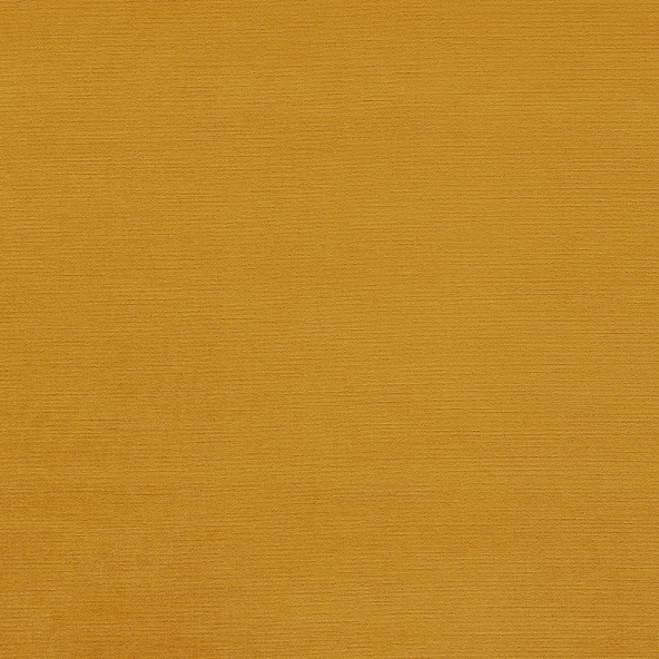Riva Honey Fabric by Clarke And Clarke