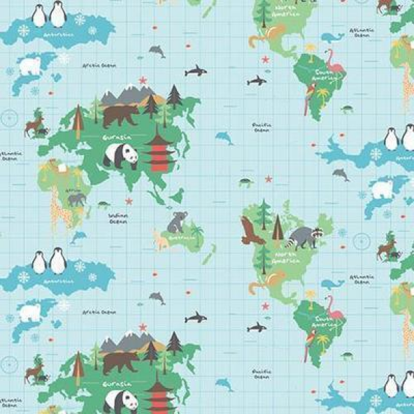 World Map Multi Fabric Flat Image