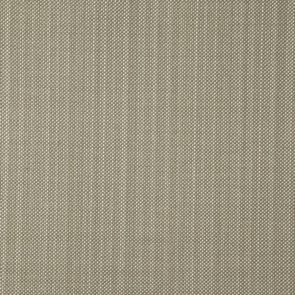 Gem Shell Fabric