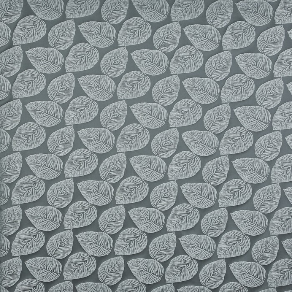 Hanna Carbon Fabric