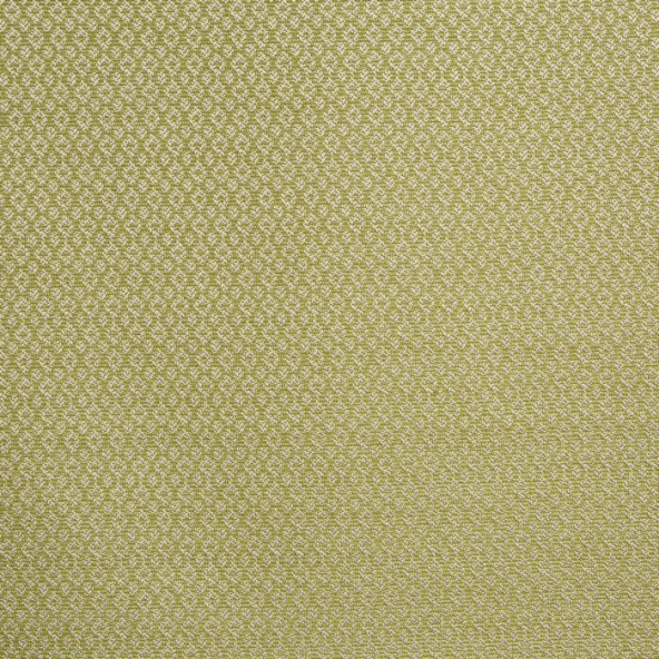 Hardwick Apple Fabric