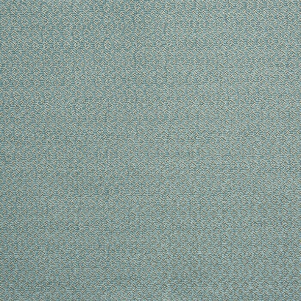 Hardwick Robins Egg Fabric