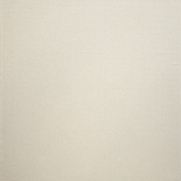 Canvas Natural Fabric Flat Image