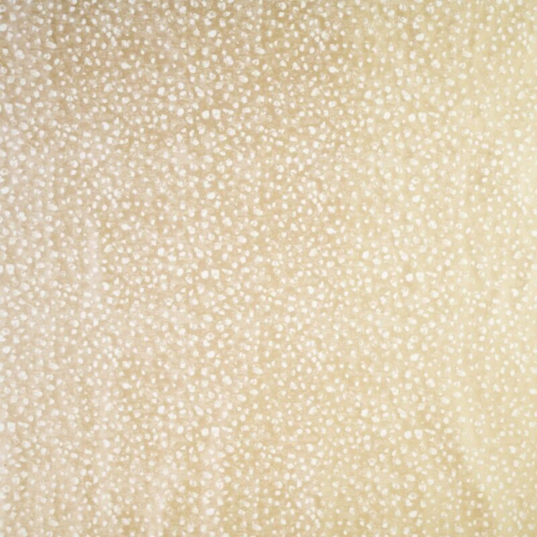 Zircon Limestone Fabric Flat Image