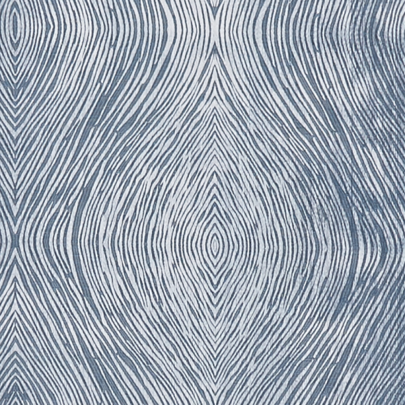 Luster Denim Fabric