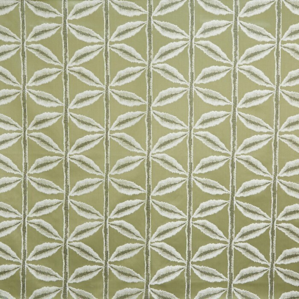 Palm Olive Fabric