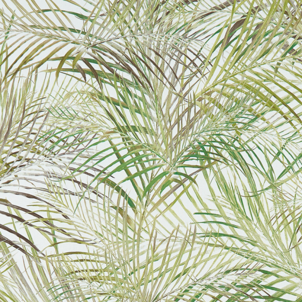 Palmero Forest Fabric Flat Image