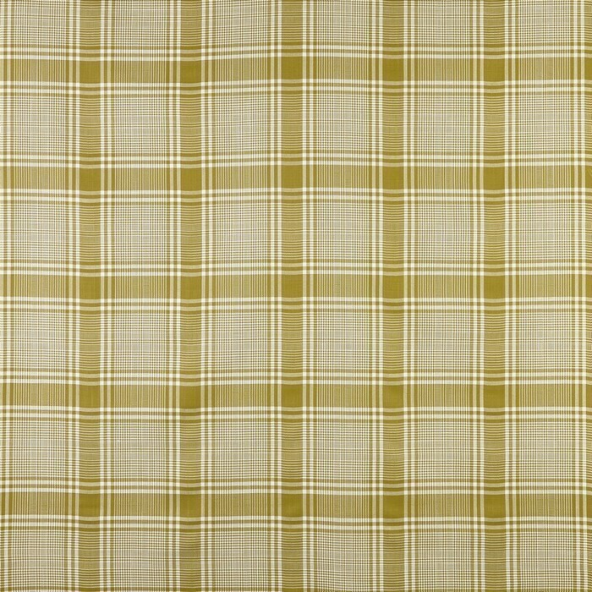Steamer Willow Fabric