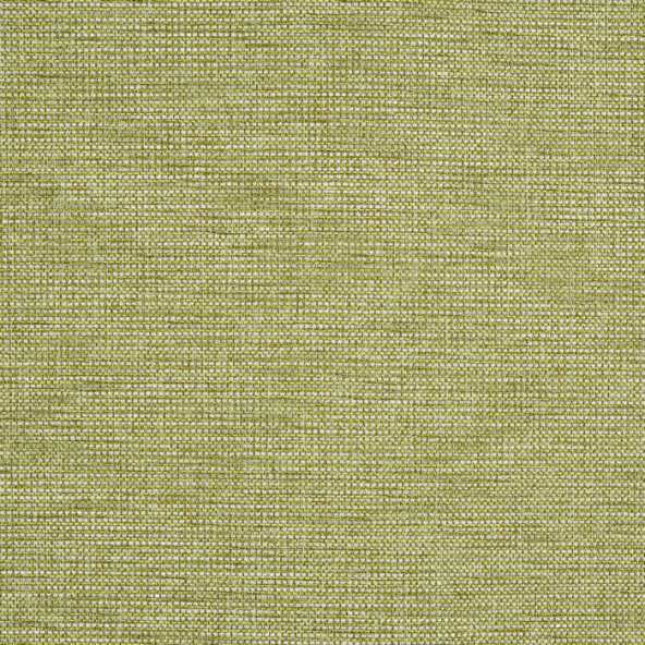 Strand Fern Fabric