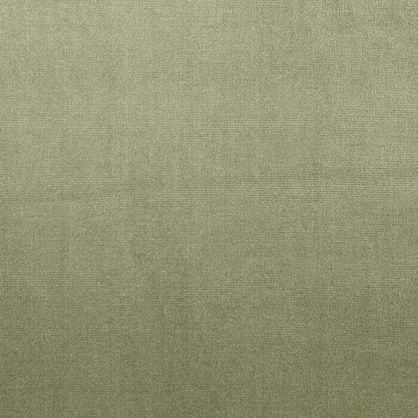 Velour Willow Fabric