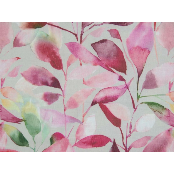 Image of brympton raspberry by Voyage
