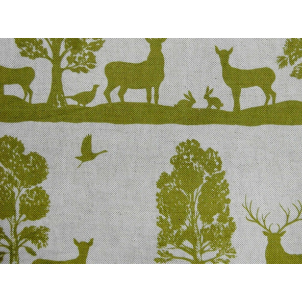 Image of Cairngorms meadow by Voyage