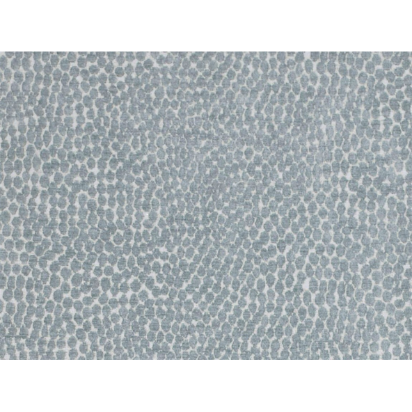 Image of pebble shark by Voyage