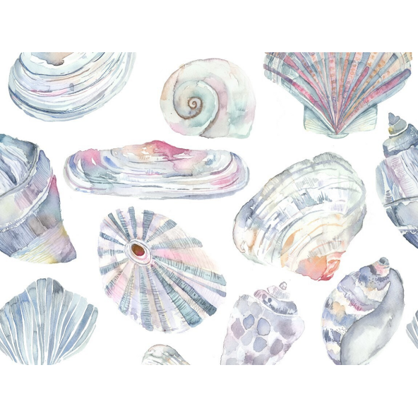 Image of Rock Pool abalone by Voyage
