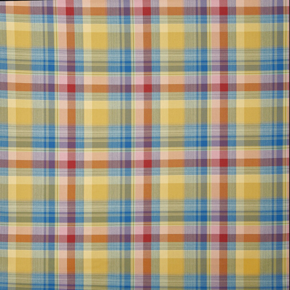 Zingo Rumba Fabric