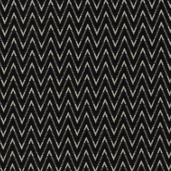 Zion Noir Fabric