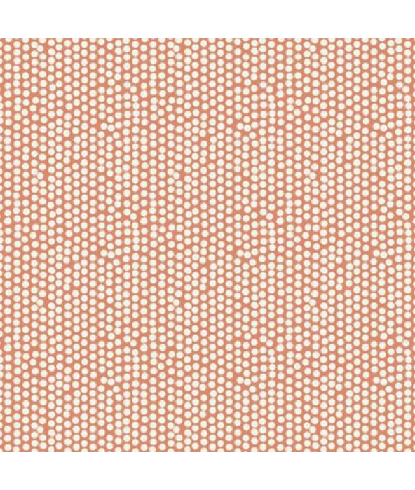 Spotty Orange Fabric Flat Image