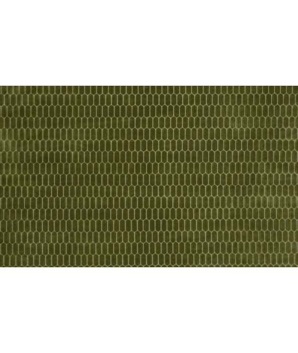 Image of Rialta fern by Kai