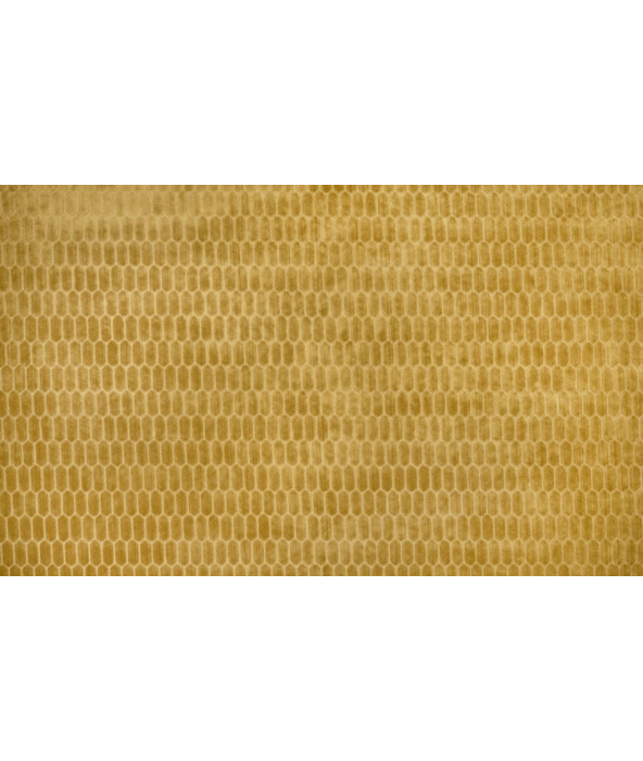 Image of Rialta pollen by Kai