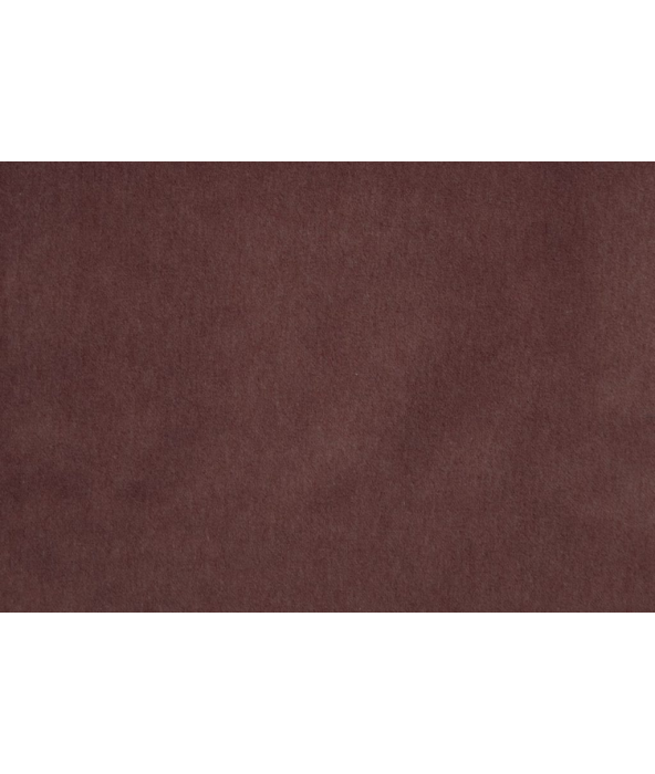 Image of Savona plum by Kai